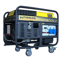 FPG15000E-Z