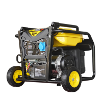 FPG8990E-JAGO-FIRMAN-Petroleum-Generator